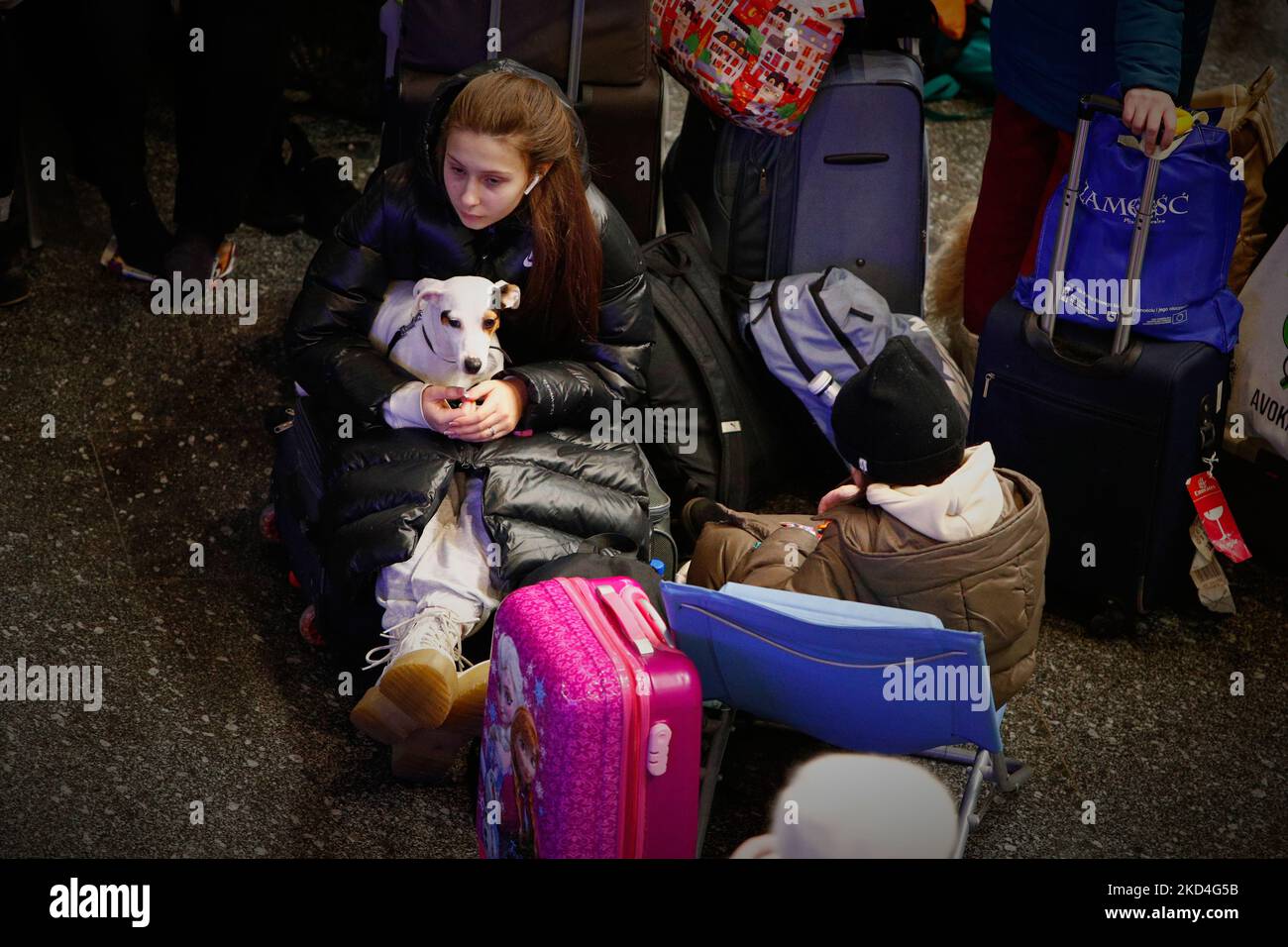 Une femme est vue avec son chien et ses bagages dans le hall principal de la gare centrale de Varsovie, en Pologne, le 07 mars 2022. La Pologne a accepté plus de 1 millions de réfugiés en moins de deux semaines, alors que la Russie envahissait l'Ukraine. La Pologne a offert le transport en train gratuit, distribué gratuitement de la nourriture, des boissons et des nécessités quotidiennes, y compris des cartes SIM et des familles individuelles ont emmené l'ukrainien dans leurs propres maisons. (Photo par STR/NurPhoto) Banque D'Images