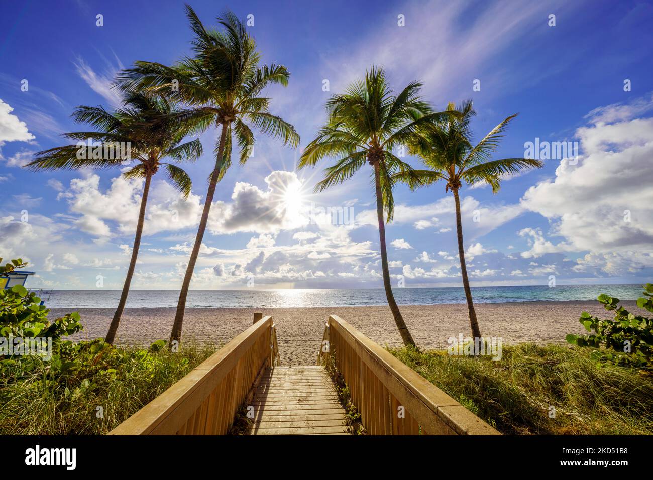 Magnifique Beach Path entouré de palmiers menant à la plage, Hollywood Beach, Sunrise Miami, South Florida, USA Banque D'Images Magnifique Beach Path entouré de palmiers menant à la plage, Hollywood Beach, Sunrise Miami, South Florida, USA Banque D'Images