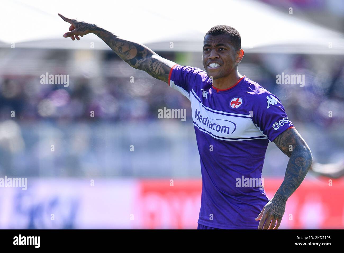 Acf fiorentina v bologne fc Banque de photographies et d’images à haute