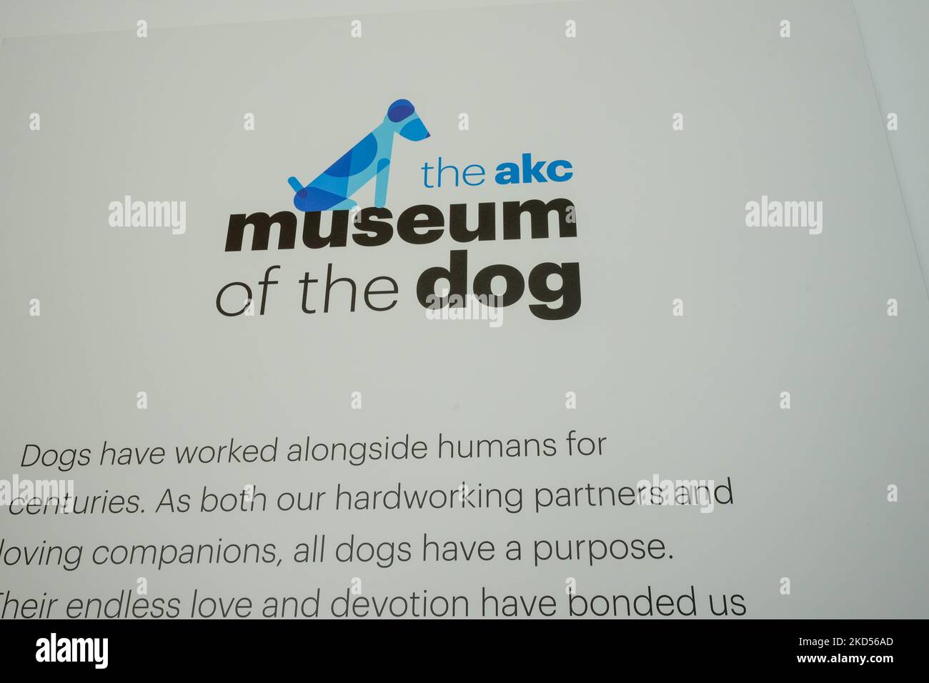 Le Musée AKC du chien exposition "CHIENS DE GUERRE ET DE PAIX" sur 14 mars 2022. Le musée est géré par l'American Kennel Club (AKC) et possède l'une des plus grandes collections d'art canin au monde. (Photo de John Nacion/NurPhoto) Banque D'Images