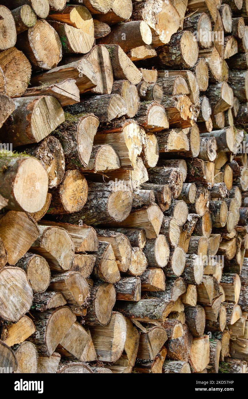 Une pile de bois, la politique énergétique sur la mauvaise voie. Renaissance alarmante d'une forme d'énergie dépassée. Banque D'Images