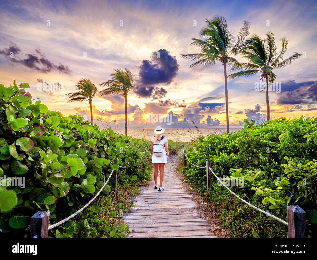 Femme marchant sur le magnifique Beach Path encadré de palmiers menant à la plage, Hollywood Beach, Sunrise Miami, Floride du Sud, États-Unis Banque D'Images Femme marchant sur le magnifique Beach Path encadré de palmiers menant à la plage, Hollywood Beach, Sunrise Miami, Floride du Sud, États-Unis Banque D'Images