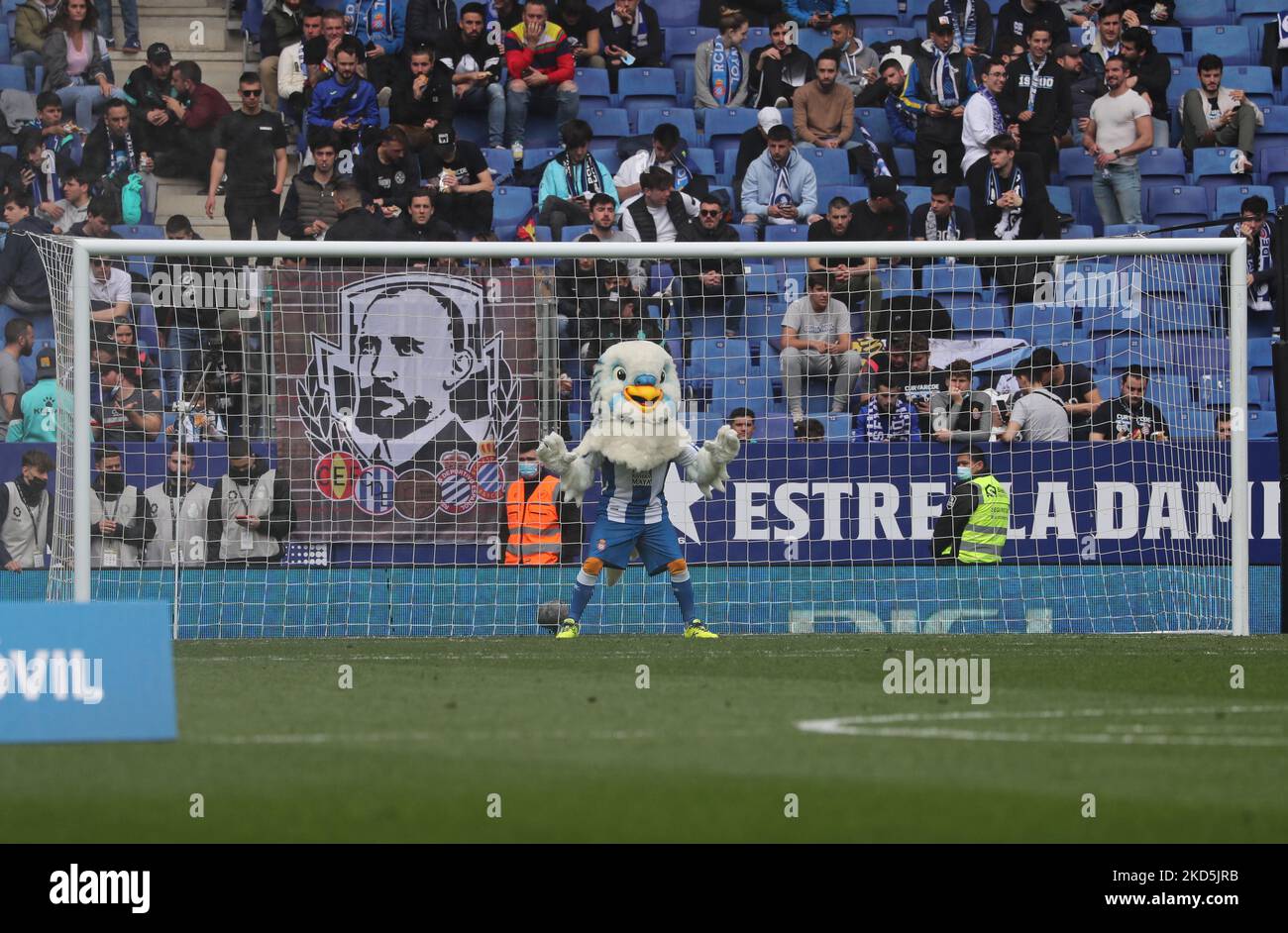 Espanyol animal de compagnie pendant le match entre le RCD Espanyol et le RCD Mallorca, correspondant à la semaine 29 de la Liga Santander, joué au stade RCDE, à Barcelone, le 20th mars 2022. (Photo de Joan Valls/Urbanandsport /NurPhoto) Banque D'Images
