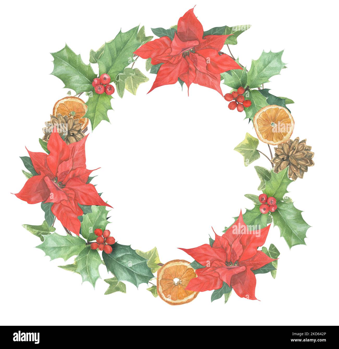 Couronne de Noël de plantes colorées et de décorations peintes à l'aquarelle. Branches de pin, lierre, houx, poinsettia, orange séché, Cônes et Noël Banque D'Images