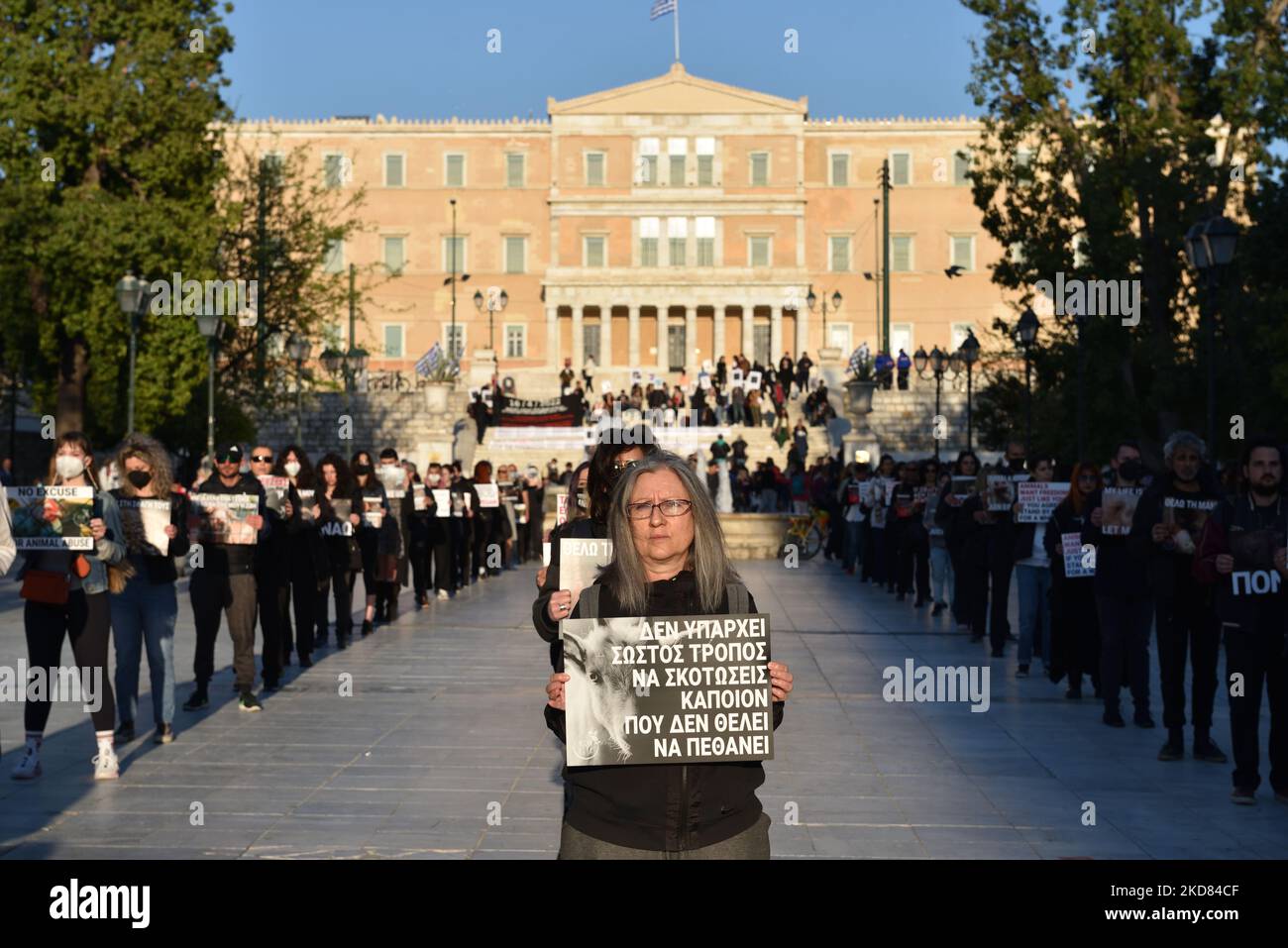 Les militants des droits des animaux qui détiennent des pancartes protestent sur la place Syntagma à Athènes contre l'abattage de masse d'agneaux destinés à la consommation le dimanche de Pâques orthodoxe grec, à 20 avril 2022, à Athènes, en Grèce. (Photo de Nicolas Koutsokostas/NurPhoto) Banque D'Images