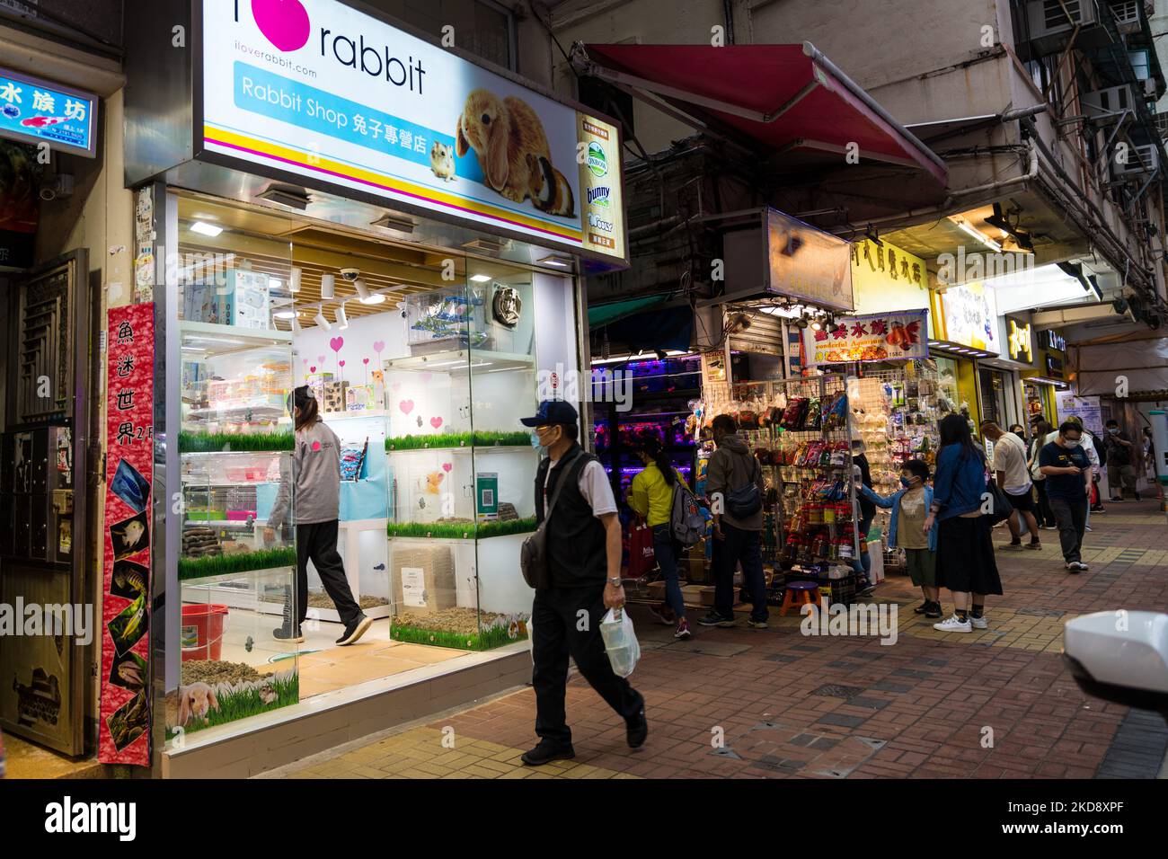 'I Love Rabbit', un autre magasin de la chaîne des petits magasins de mammifères a également rouvert à Mongkok. Cependant, la plupart des cages sont restées vides, avec seulement quelques lapins à vendre. (Photo de Marc Fernandes/NurPhoto) Banque D'Images
