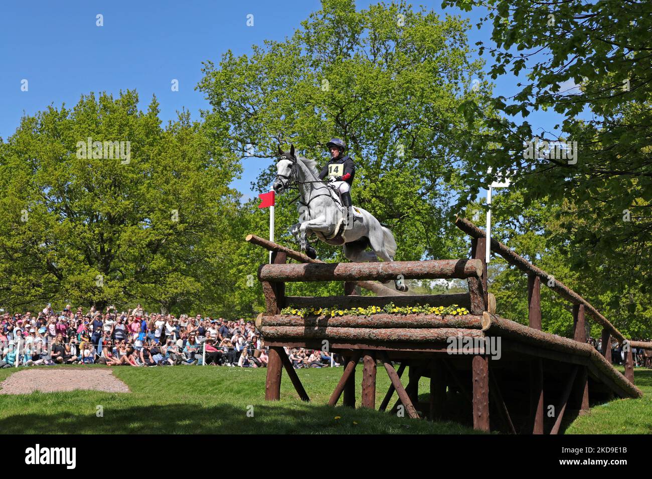 Oliver Townend Riding Swallow Springs lors de l'événement de fond au Badminton Horse Trials, Badminton House, Badminton le samedi 7th mai 2022. (Photo de Jon Bromley/MI News/NurPhoto) Banque D'Images