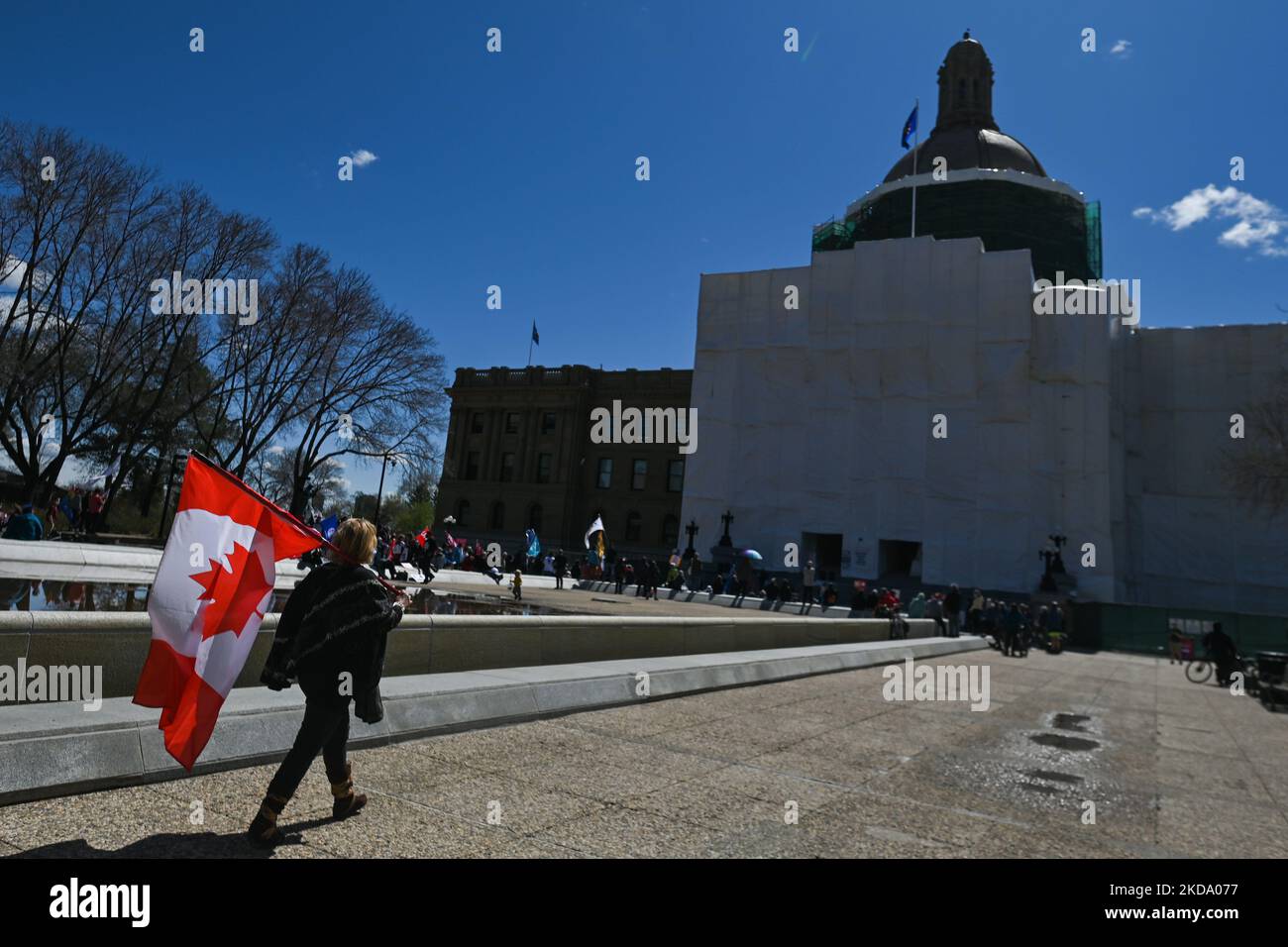 Une femme portant le drapeau canadien marche devant l'Assemblée législative de l'Alberta. Les travailleurs de la santé, les activistes et leurs partisans protestent contre le premier ministre Kenney et le gouvernement du PCU qui prennent des mesures pour privatiser les soins de santé, lors du rassemblement pour les soins de santé publics, à l'Assemblée législative de l'Alberta, à Edmonton. Le samedi 14 mai 2022, à Edmonton, Alberta, Canada. (Photo par Artur Widak/NurPhoto) Banque D'Images