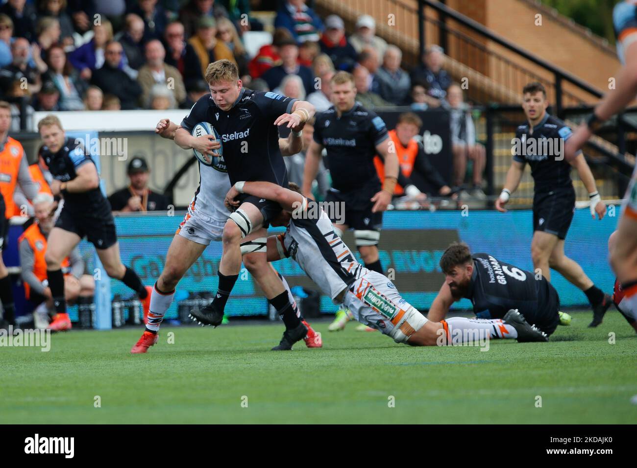 Freddie Lockwood en action pour les Falcons lors du match Gallagher Premiership entre Newcastle Falcons et Leicester Tigers à Kingston Park, Newcastle, le samedi 21st mai 2022. (Photo de Chris Lisham/MI News/NurPhoto) Banque D'Images