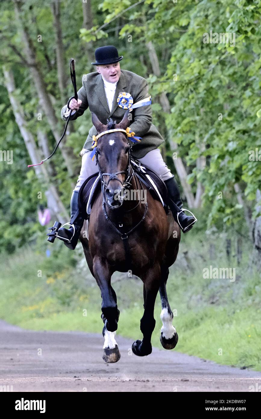 Le père par intérim, Alan Brown Airborne à bord du galop vers le haut les supporters mariés poursuite sur les nipknowes, en applaudissant aux spectateurs, le Hawick Common Riding est le premier des circonscriptions communes frontalières et célèbre la capture d'un drapeau anglais, Par la jeunesse de Hawick à l'escarmouche militaire de Hornshole en 1514 et l'ancienne coutume de monter les marches ou les frontières de la terre commune, à Hawick, au Royaume-Uni. 10 juin 2022. (Photo de Rob Gray/NurPhoto) Banque D'Images