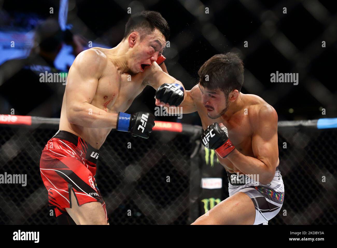 Batgerel Danaa, de Mongolie (L), combat Kyung Ho Kang, de Corée du Sud, dans le combat de bantamweight masculin lors de l’événement UFC 275 au stade intérieur de Singapour sur 12 juin 2022 à Singapour. (Photo de Suhaimi Abdullah/NurPhoto) Banque D'Images