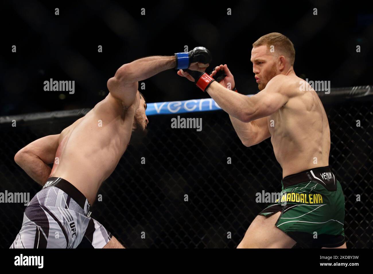 Jack Della Maddalena, d'Australie (R), combat Ramazan Emeev, de Russie, dans le combat de poids-lourd au cours de l'événement UFC 275 au stade intérieur de Singapour sur 12 juin 2022, à Singapour. (Photo de Suhaimi Abdullah/NurPhoto) Banque D'Images