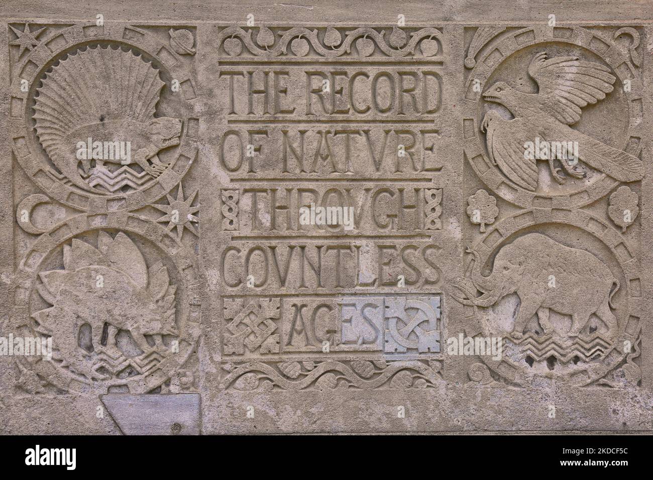 Détail des éléments décoratifs qui ornent l'édifice du Musée royal de l'Ontario au centre-ville de Toronto, Ontario, Canada, on 20 juillet 2022. Le Musée royal de l'Ontario est un musée d'art, de culture mondiale et d'histoire naturelle situé à Toronto, en Ontario, au Canada. C'est l'un des plus grands musées d'Amérique du Nord et le plus grand au Canada. (Photo de Creative Touch Imaging Ltd./NurPhoto) Banque D'Images