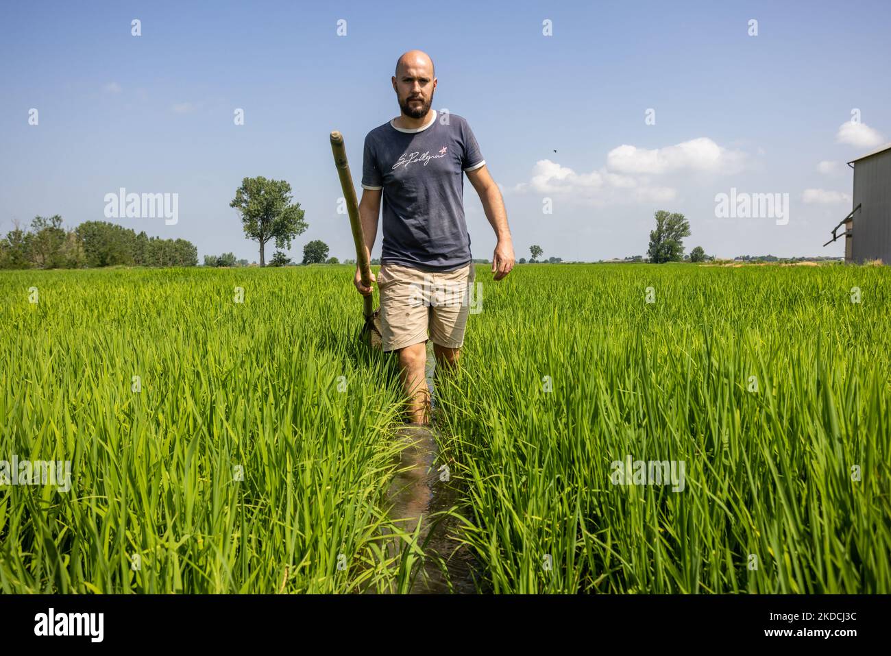 Luca Rizzotti au travail dans les champs régule l'inondation du champ de paddy pour essayer de sauver au moins une partie des cultures de la sécheresse, à Novara, sur 23 juin 2022. Cette situation a obligé les agriculteurs à sacrifier une partie de la récolte de riz pour concentrer l'eau nécessaire dans certaines zones cultivées. Le riz a besoin de beaucoup d'eau pour son cycle de vie et la zone entre Novara et Pavie est en grave pénurie. Fabrizio estime qu'environ 50% de la récolte est compromise à un stade où les coûts sont pratiquement tous déjà supportés et cela pourrait mettre plusieurs producteurs en difficulté. La très chaude da Banque D'Images