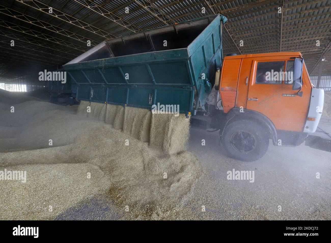 Un chauffeur de camion décharge les céréales d'orge après récolte dans un stockage de céréales dans la région d'Odesa, en Ukraine, le 22 juin 2022. 7 millions de tonnes de blé, 14 millions de tonnes de grain de maïs, 3 millions de tonnes d'huile de tournesol et 3 millions de tonnes de farine de tournesol n'ont pas pénétré sur le marché mondial en raison du blocus par la Russie des ports maritimes ukrainiens, cela a conduit à une hausse record des prix du marché mondial et entraînera inévitablement une crise alimentaire mondiale et une hausse de l'inflation, comme les médias l'ont informé. (Photo par STR/NurPhoto) Banque D'Images