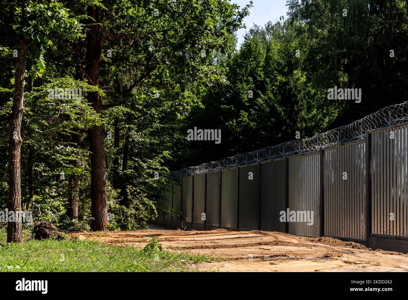 La barrière métallique physique entre la Pologne et le Bélarus est visible au milieu de la forêt de Bialowieza, sur 1 juillet 2022, à Bialowieza, en Pologne. Le gouvernement polonais a décidé de construire une barrière en acier de 186 kilomètres de long et de 5,5 mètres de haut avec des barbelés à la frontière entre la Pologne et la Biélorussie, qui est aussi la frontière de l'Union européenne et de l'OTAN. La décision a été prise après que des milliers de migrants, principalement de Syrie, d'Irak et d'Afghanistan, aient tenté de traverser la Biélorussie en Pologne. Une partie de la barrière traverse la forêt de Bialowieza. La décision a été très controversée car Bialowieza sauvage est l'un des th Banque D'Images