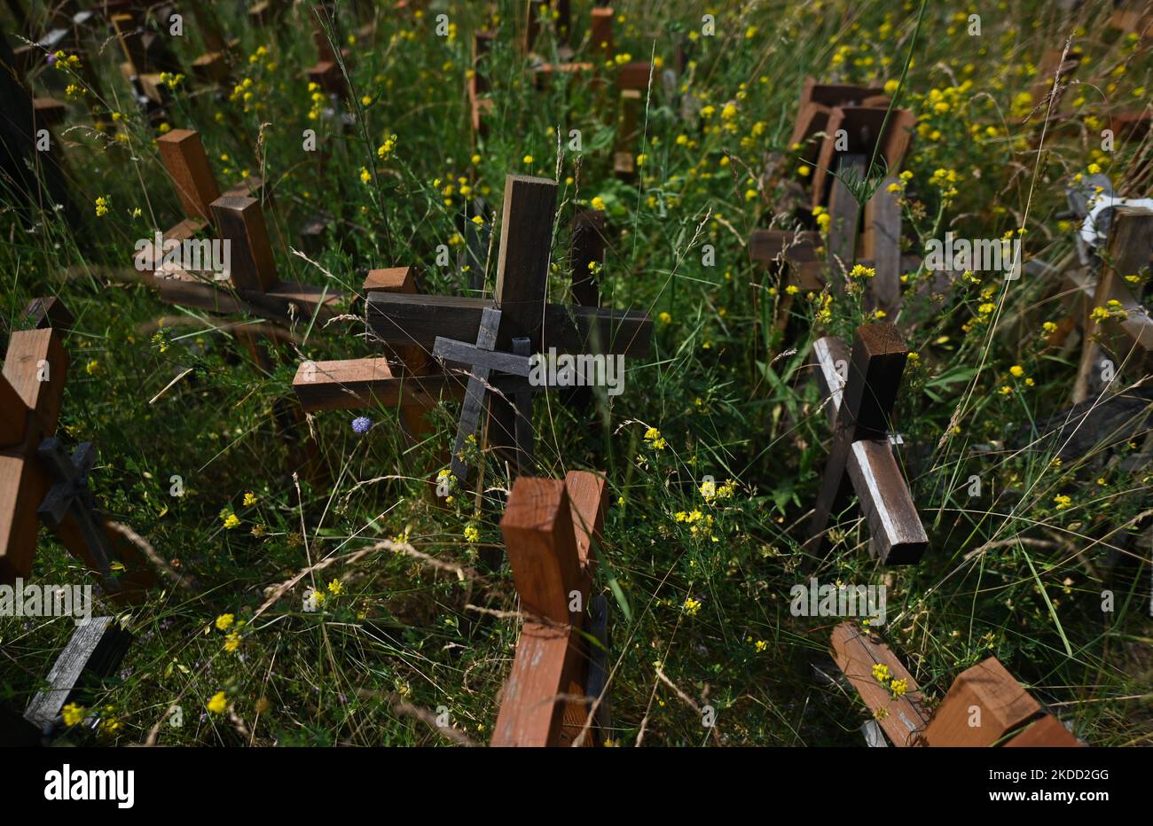 Croix en bois de différentes tailles vues sur la colline des croix dans le sanctuaire de l'eau Sainte à Wasilkow. Jeudi, 30 juin 2022, à Swieta Woda, Wasilkow, Podlaskie Voivodeship, Pologne. (Photo par Artur Widak/NurPhoto) Banque D'Images