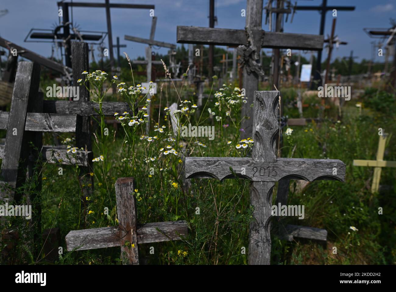 Croix en bois de différentes tailles vues sur la colline des croix dans le sanctuaire de l'eau Sainte à Wasilkow. Jeudi, 30 juin 2022, à Swieta Woda, Wasilkow, Podlaskie Voivodeship, Pologne. (Photo par Artur Widak/NurPhoto) Banque D'Images