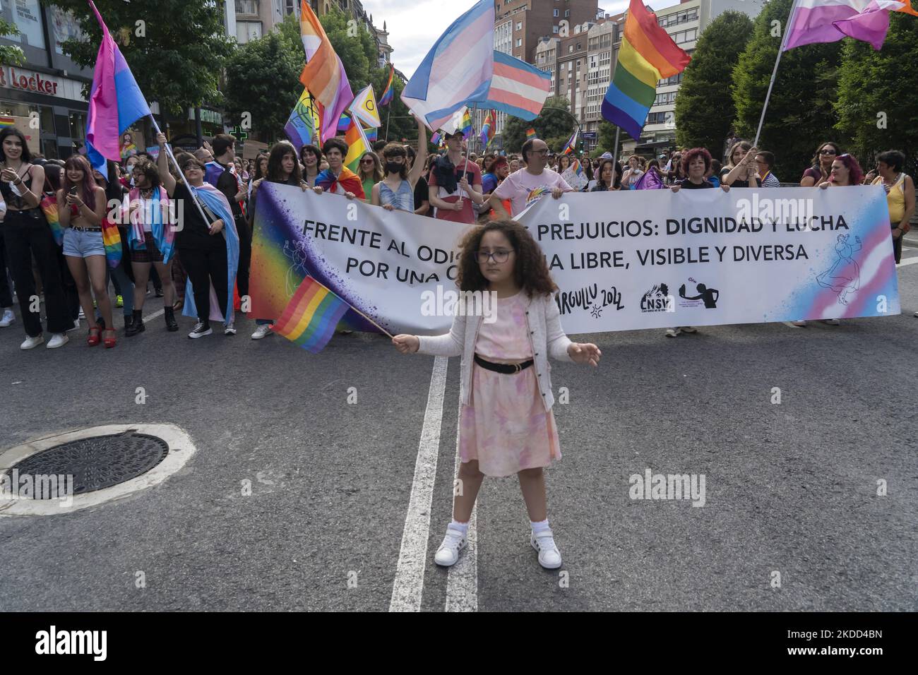 Manifestation dans les rues de Santander (Espagne) pour célébrer le jour de la fierté LGBTI dans la ville. (Photo de Joaquin Gomez Sastre/NurPhoto) Banque D'Images