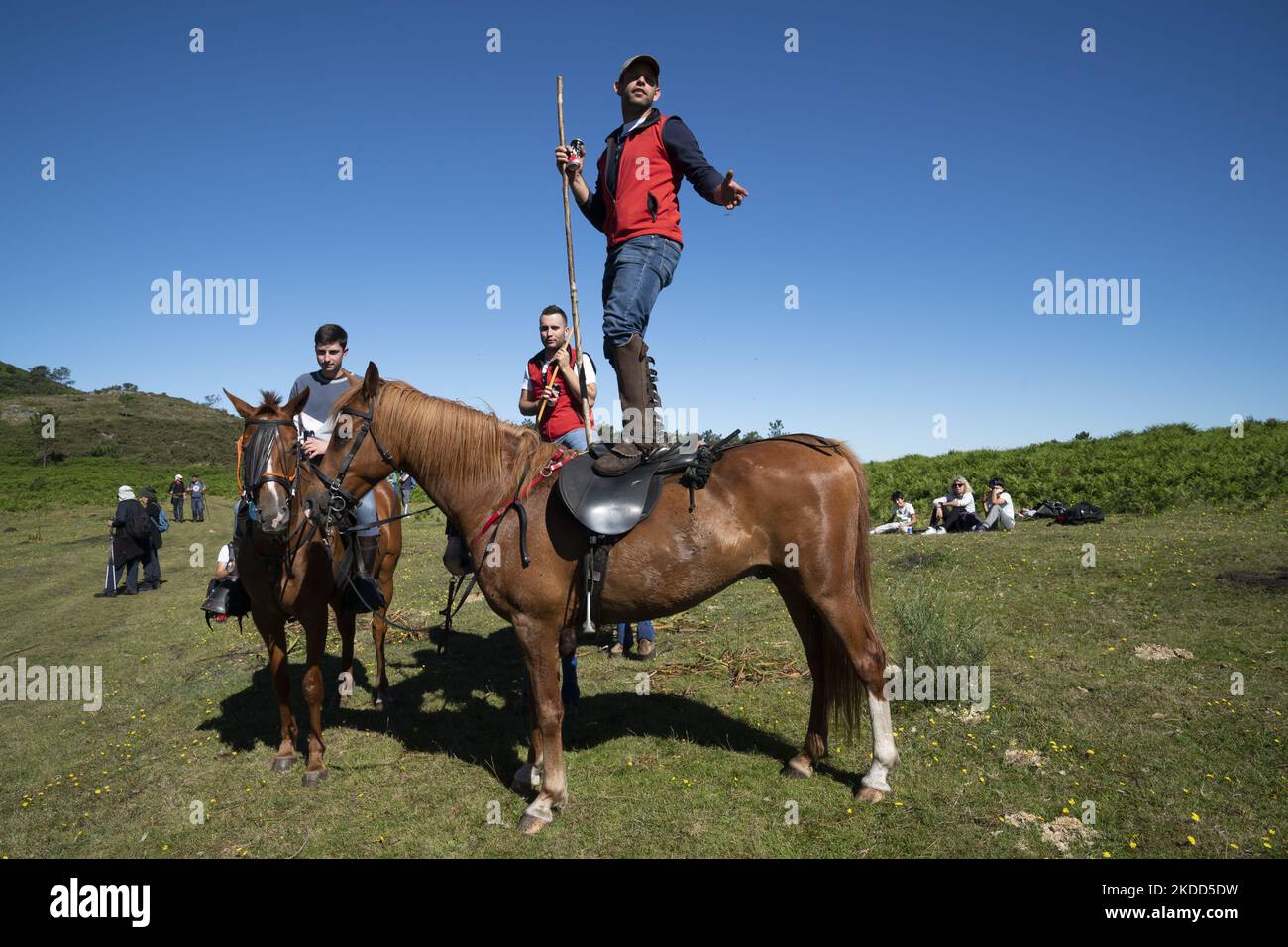 ''Rapa das Bestas''. Chaque année depuis le XVIIe siècle, dans la petite ville de Sabucedo, ''aloitadores'' coupe les manes des chevaux sauvages. Les gens de Sabucedo vont dans les montagnes près de la ville pour capturer les chevaux et les ramener pour célébrer cette tradition. Quand ils ont fini la coupe des manes, ils ont libéré de nouveau les chevaux dans les montagnes, à Sabucedo, Galice, Espagne, sur 3 juillet, 2022. Banque D'Images