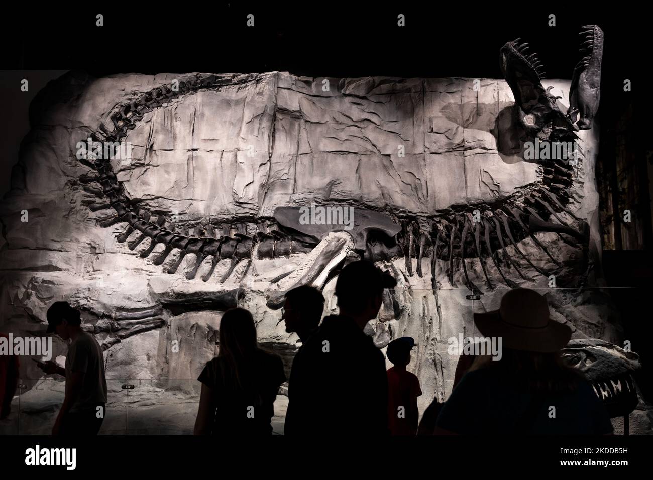 Squelettes de dinosaures et silhouettes de touristes, Royal Tyrrell Museum, Drumheller, Alberta, Canada. Banque D'Images