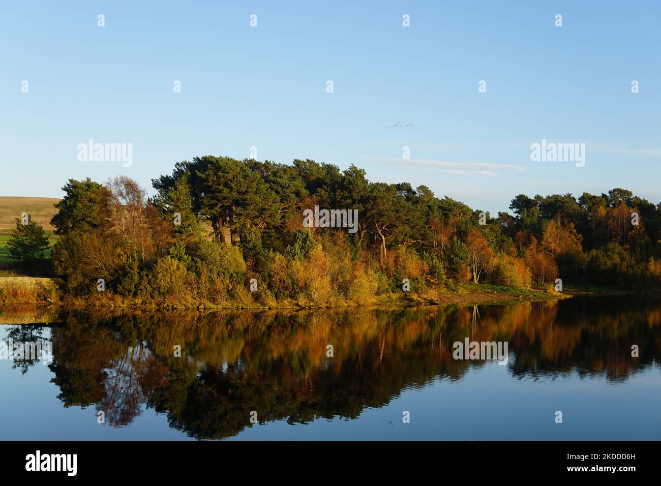 Harlaw réservoir collines de Pentland Lothian Écosse Banque D'Images