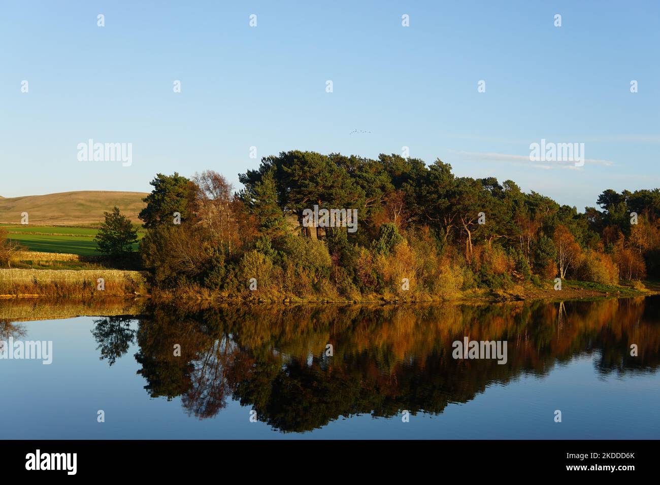 Harlaw réservoir collines de Pentland Lothian Écosse Banque D'Images