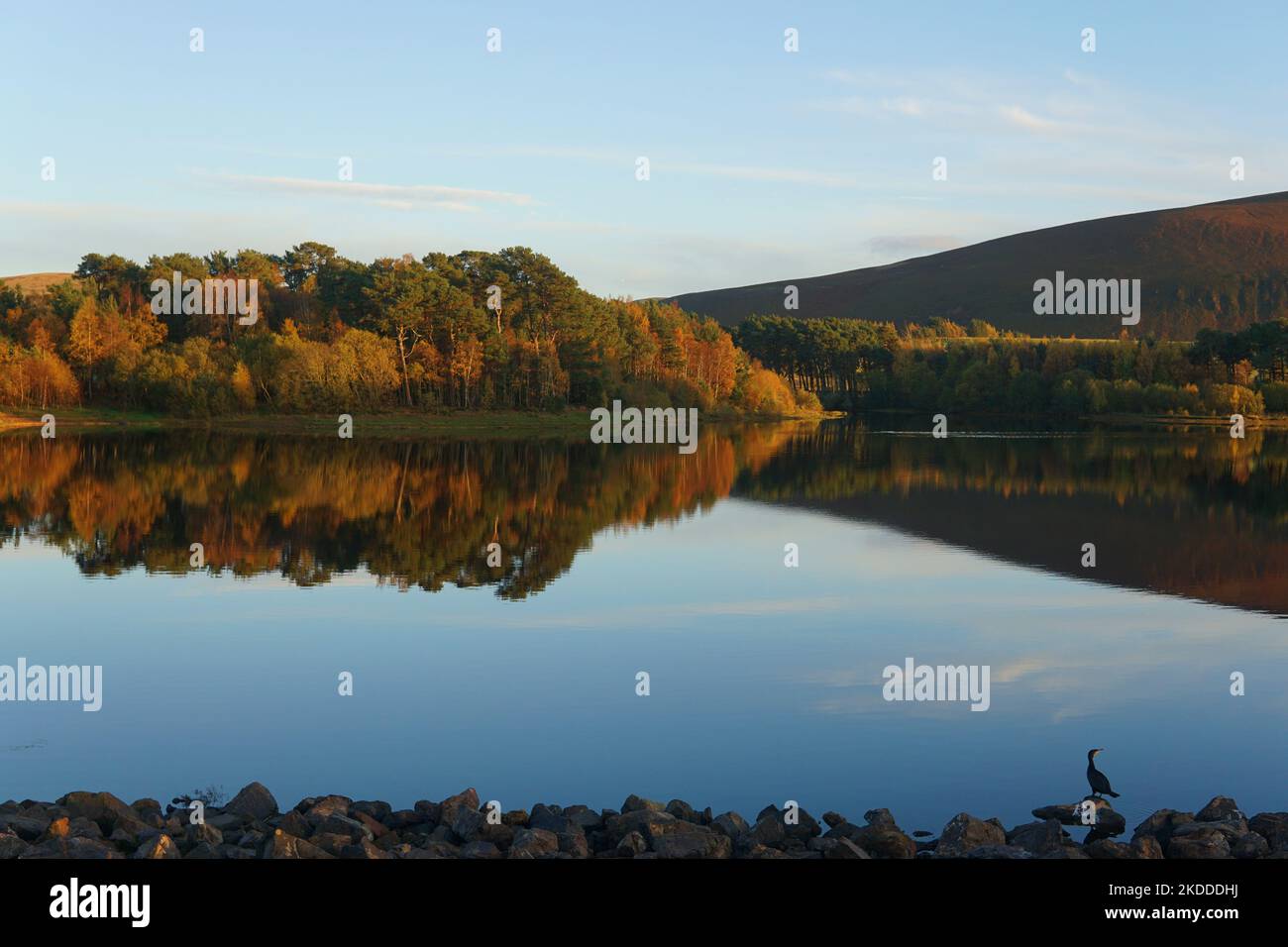 Harlaw réservoir collines de Pentland Lothian Écosse Banque D'Images