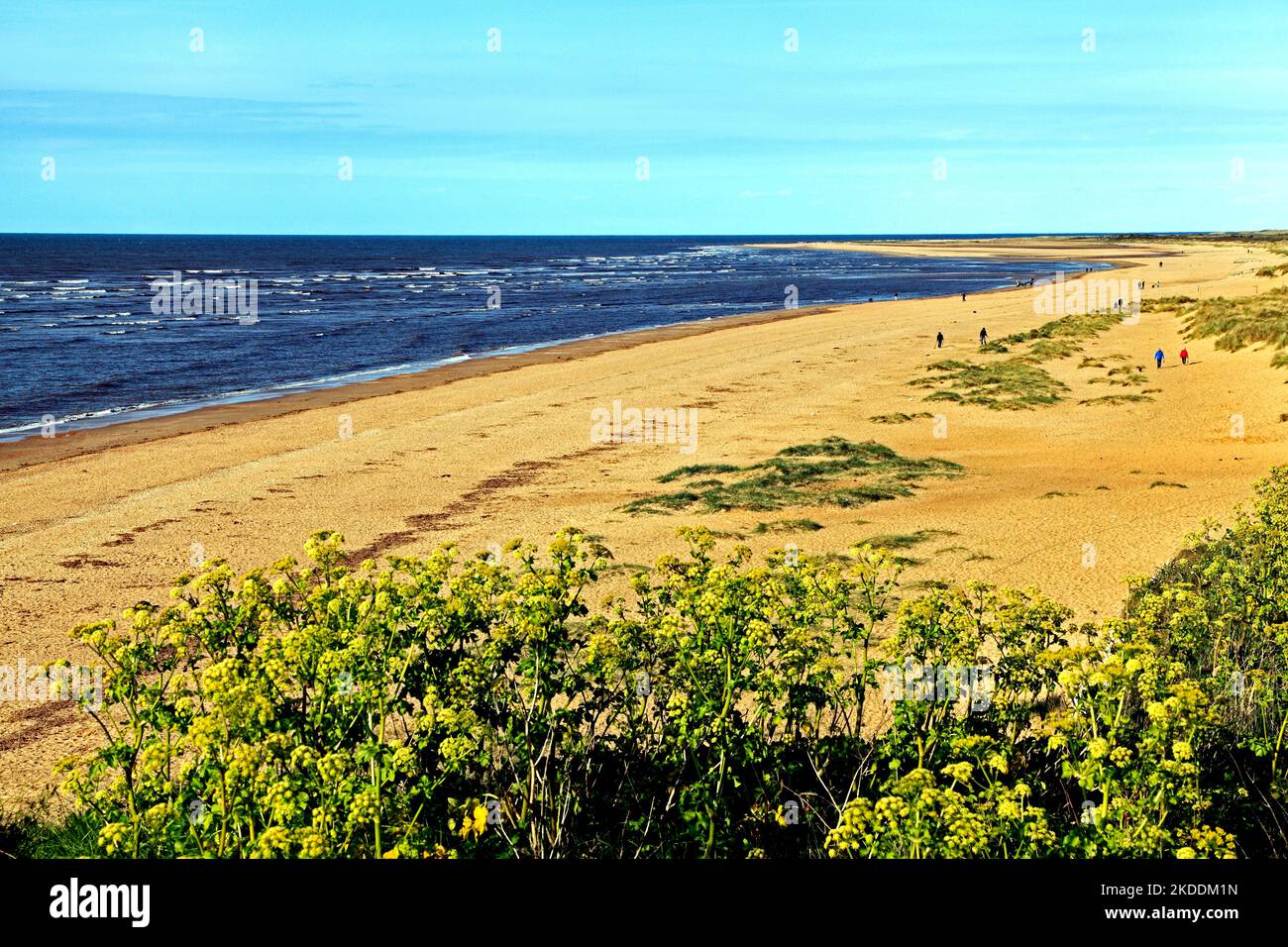 Old Hunstanton Beach, Norfolk, North Sea Coast, bord de mer, littoral, Angleterre Royaume-Uni Banque D'Images