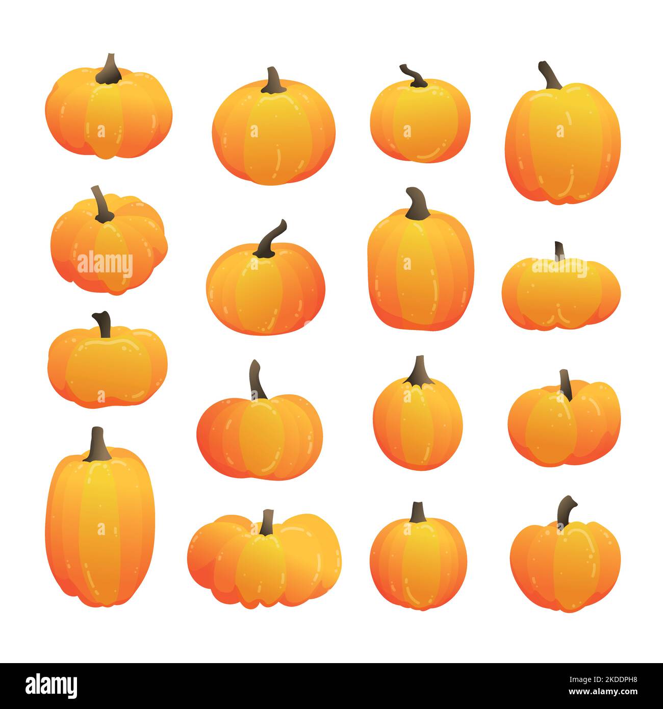 Citrouilles de différentes formes. Collection d'illustrations vectorielles dessinées à la main. Illustration de Vecteur