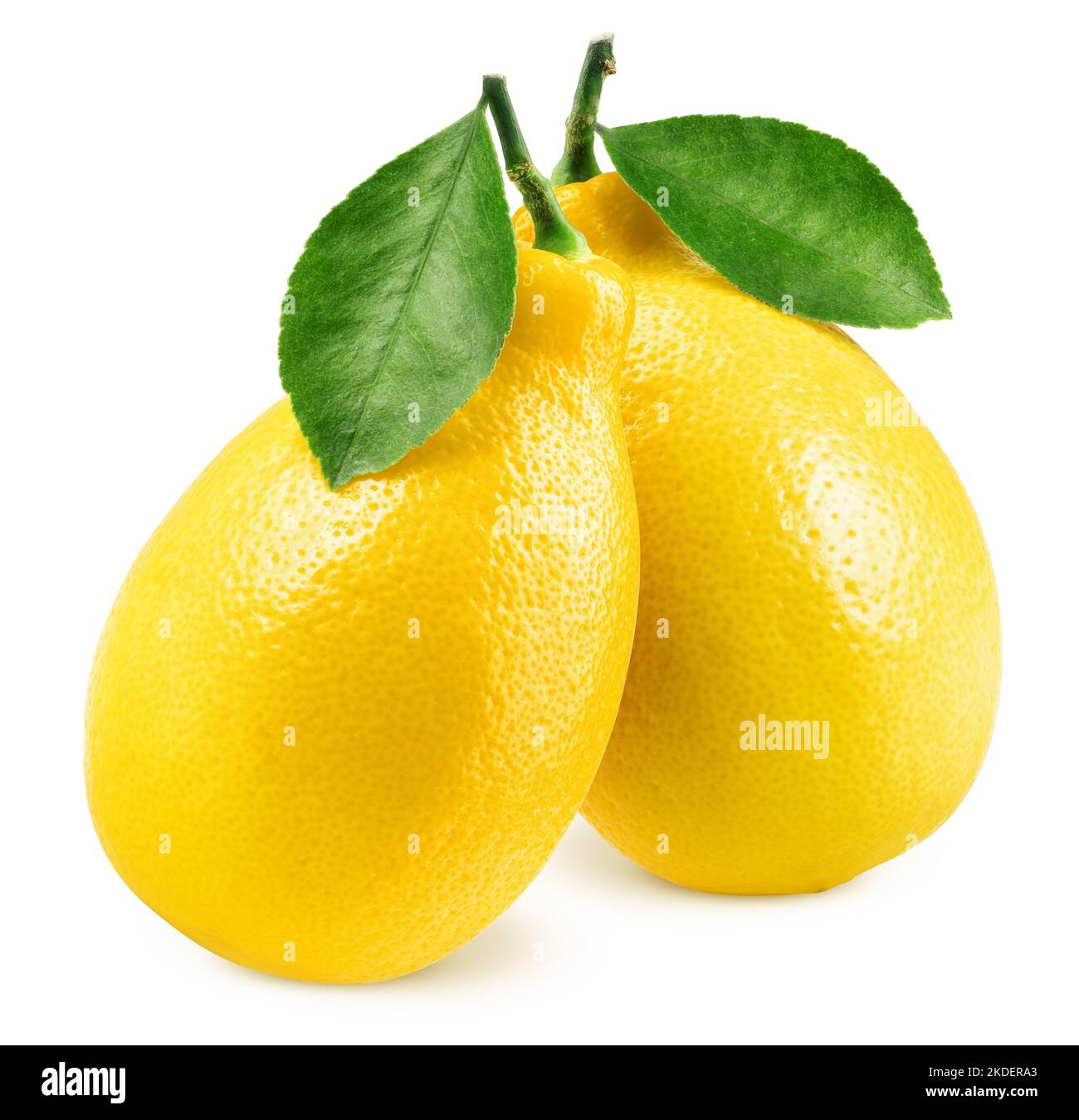 Citron, isolé sur fond blanc, chemin de détourage, pleine profondeur de champ Banque D'Images