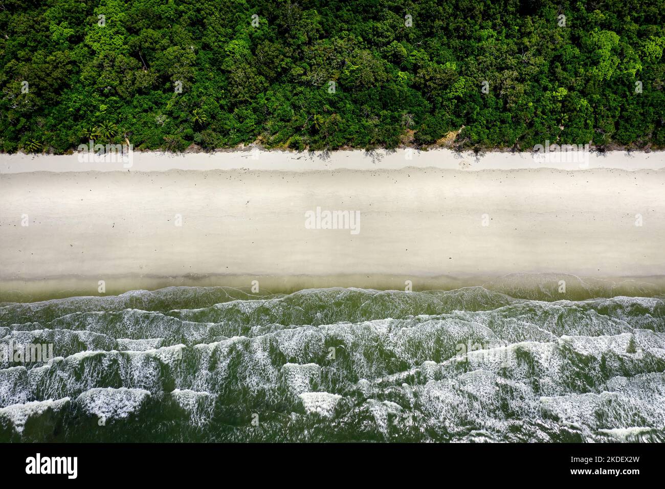 Vue aérienne incroyable sur Myall Beach, où les tropiques humides, classés au patrimoine mondial, rencontrent la Grande barrière de corail. Banque D'Images