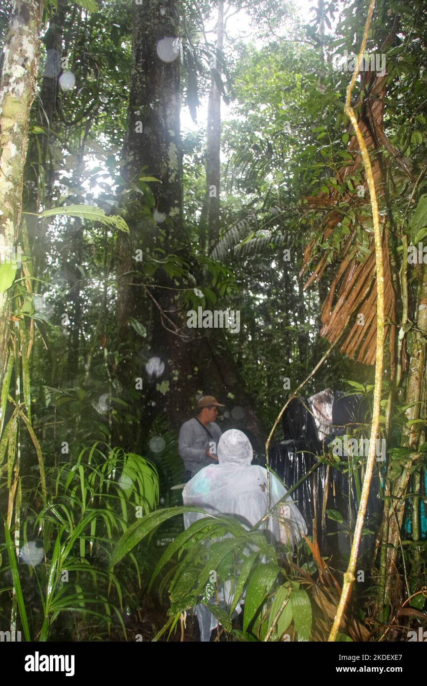 Un groupe de touristes et un guide dans la forêt équatoriale amazonienne équatorienne photographié dans la réserve de Cuyabeno en Équateur Banque D'Images