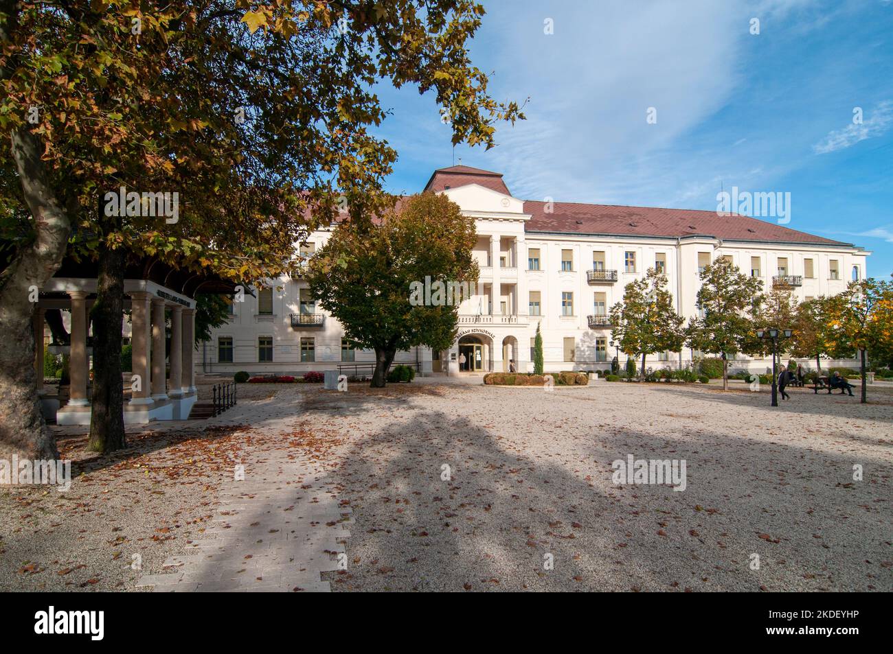 Hôpital d'état pour la cardiologie Balatonfured, Lac Balaton, Hongrie beaucoup d'autres patients viennent ici pour guérir et récupérer toute l'année grâce au carbo Banque D'Images