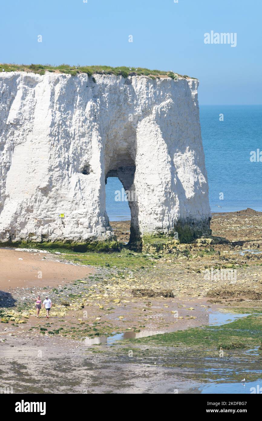 Botoute Bay Sea Arch, Broadescaliers, Kent, Angleterre, Royaume-Uni Banque D'Images