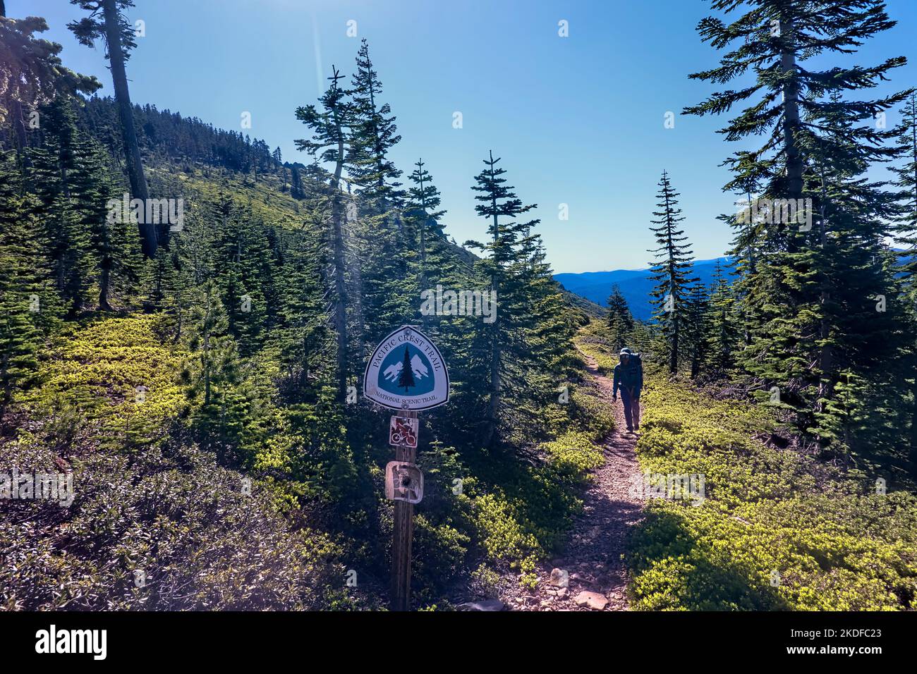 Randonnée sur le Pacific Crest Trail, Sierra City, Californie, États-Unis Banque D'Images