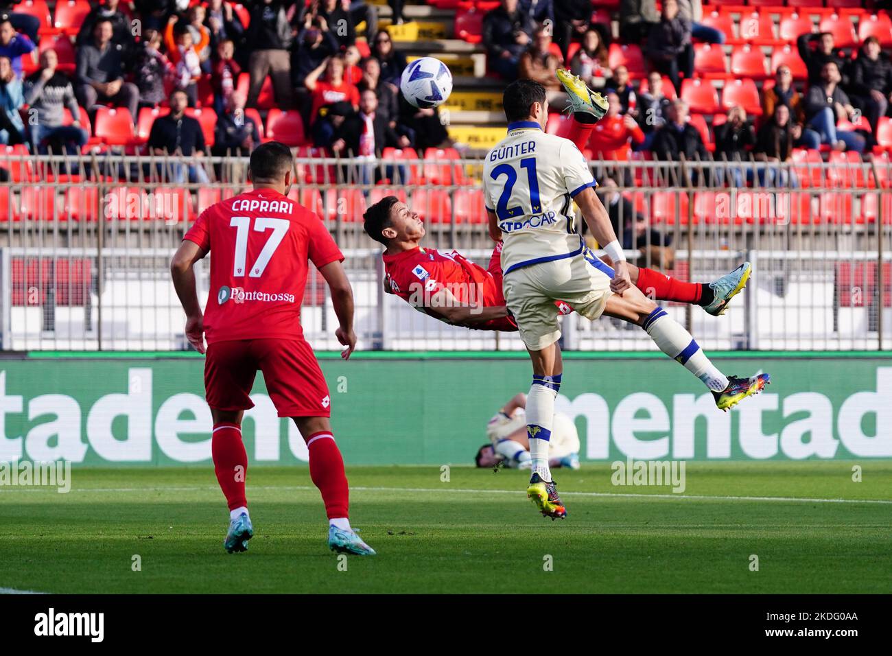 Monza, Italie. 06th novembre 2022. Matteo Pessina (AC Monza) pendant l'AC Monza contre Hellas Verona, italie football série A match à Monza, Italie, 06 novembre 2022 crédit: Agence de photo indépendante/Alamy Live News Banque D'Images