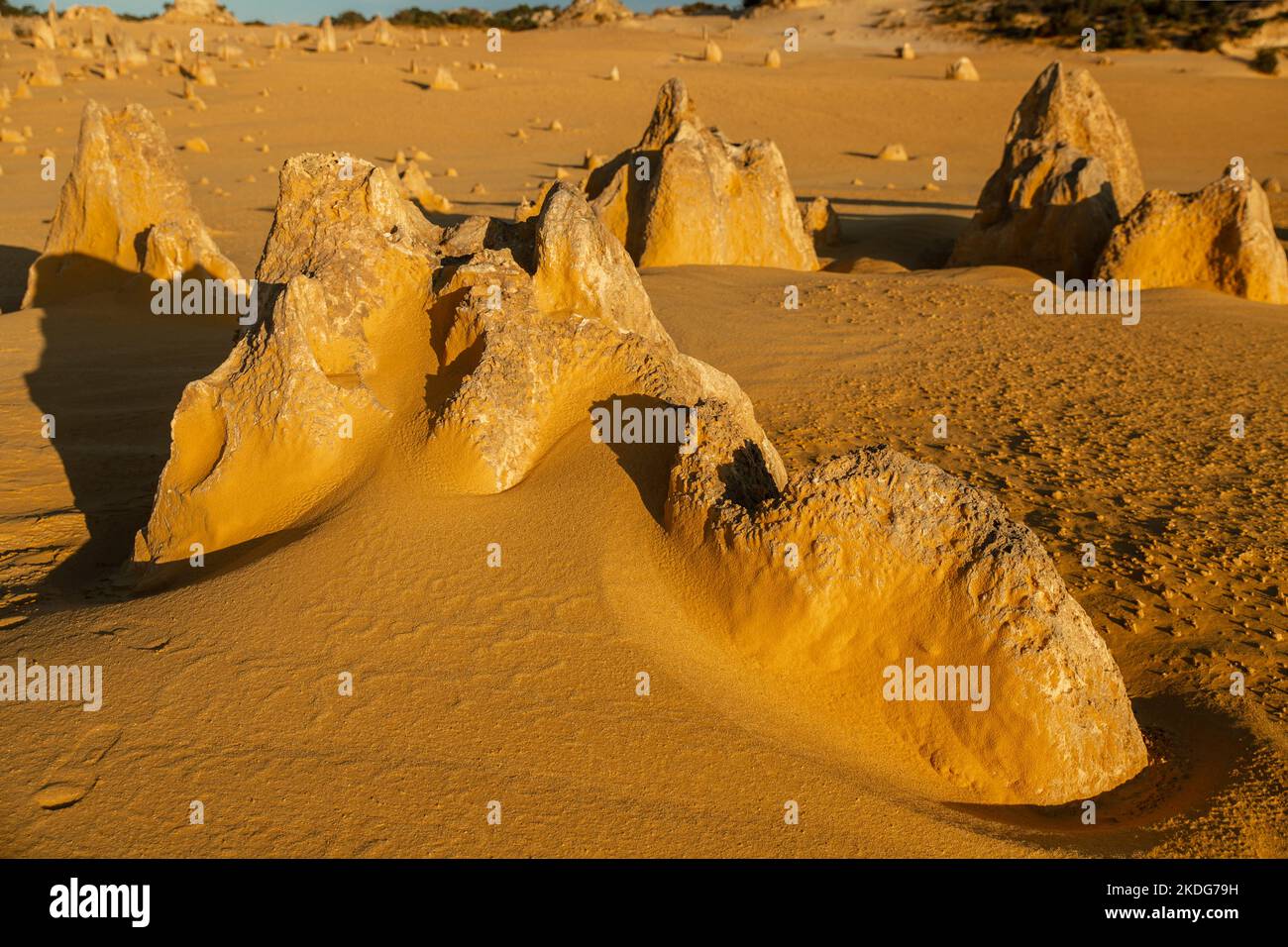 les pinnacles désertent près de cervantes Banque D'Images