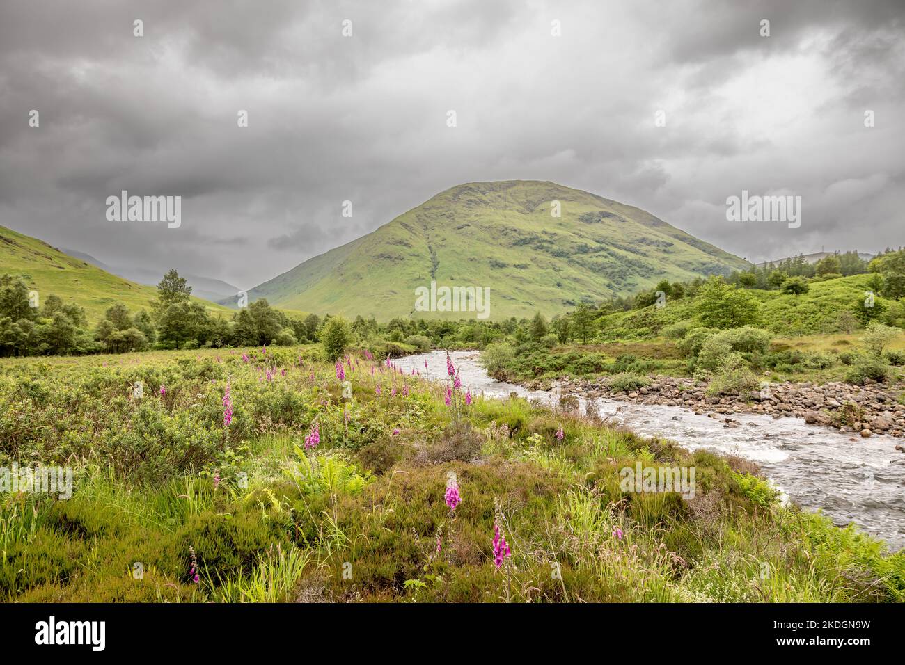 Meall Mor voir de la vallée de la rivière COE, Glencoe, Écosse, Royaume-Uni Banque D'Images