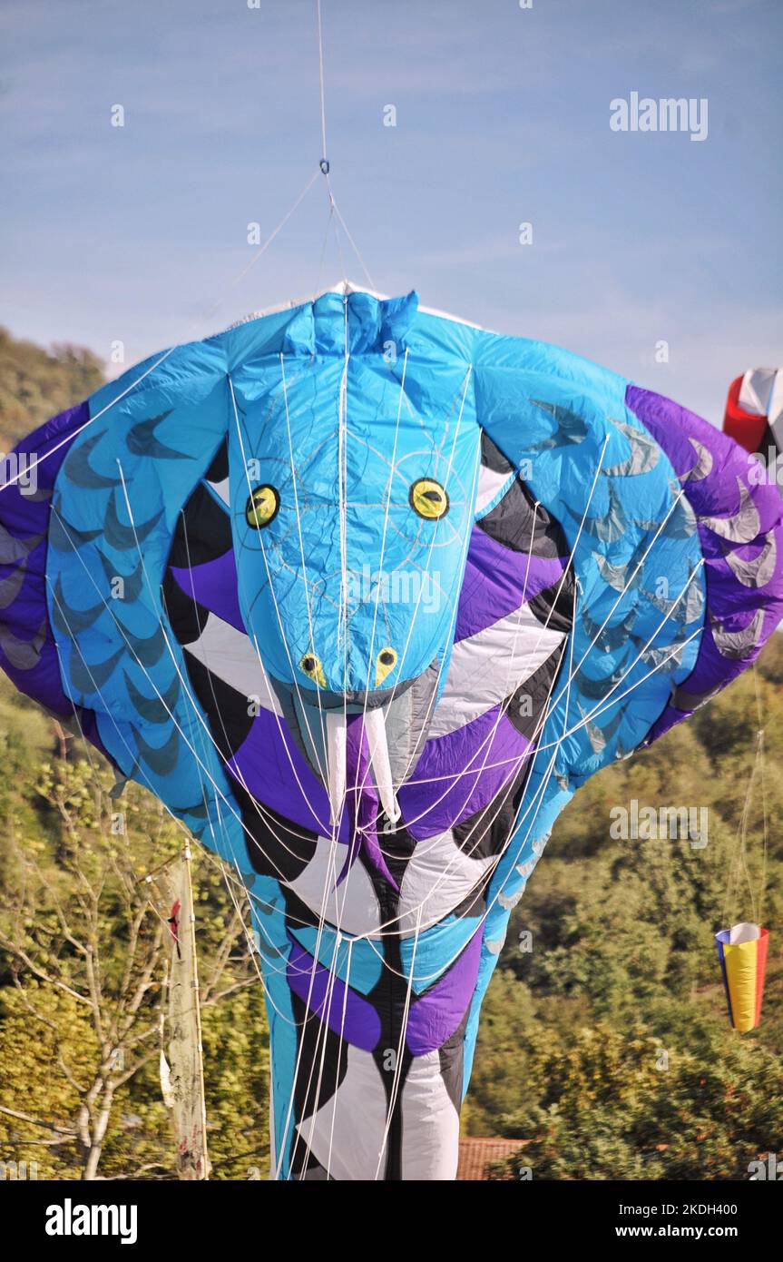 cerf-volant Banque D'Images