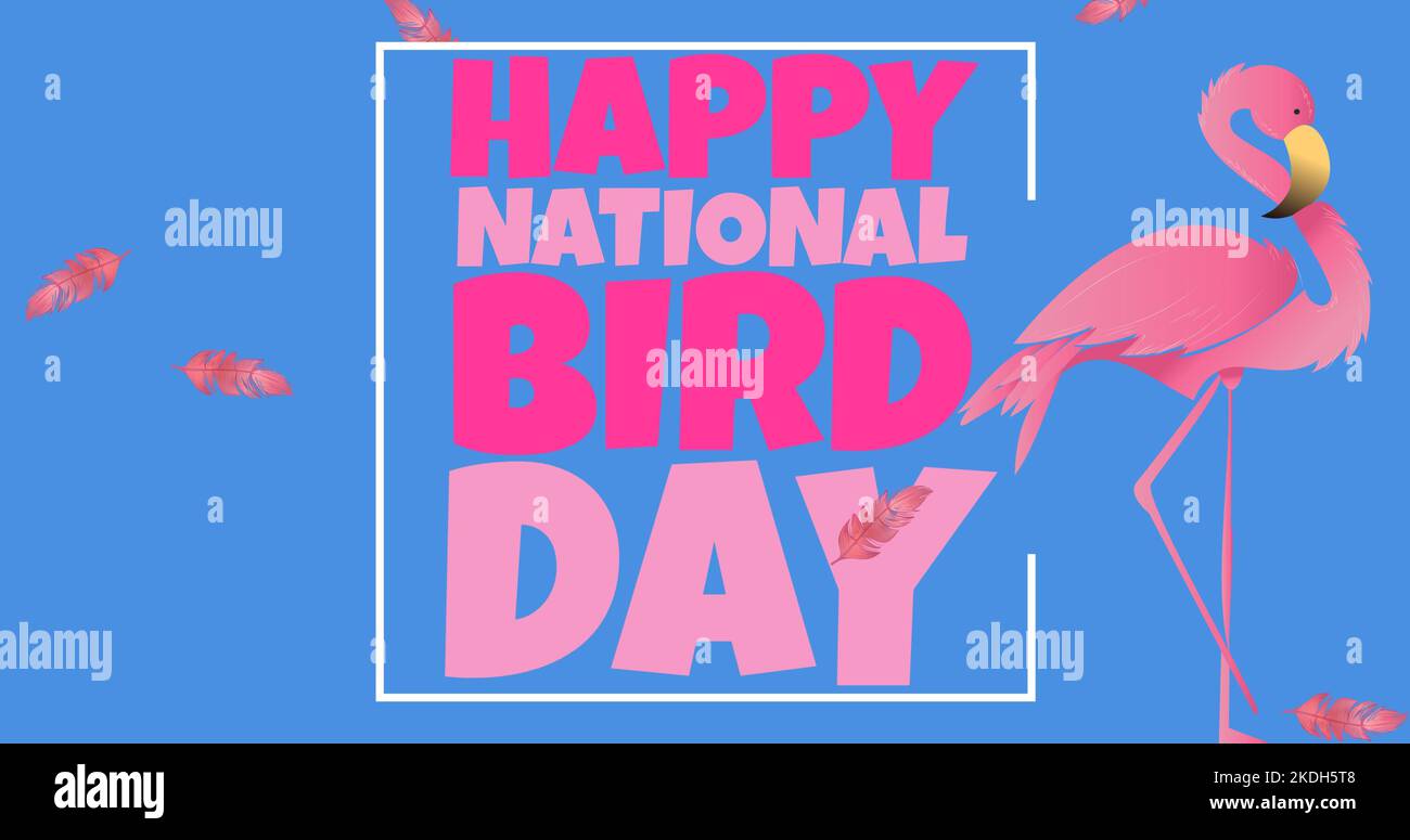 Illustration du texte de la Journée nationale des oiseaux heureux dans un cadre avec flamants roses et plumes sur fond bleu Banque D'Images
