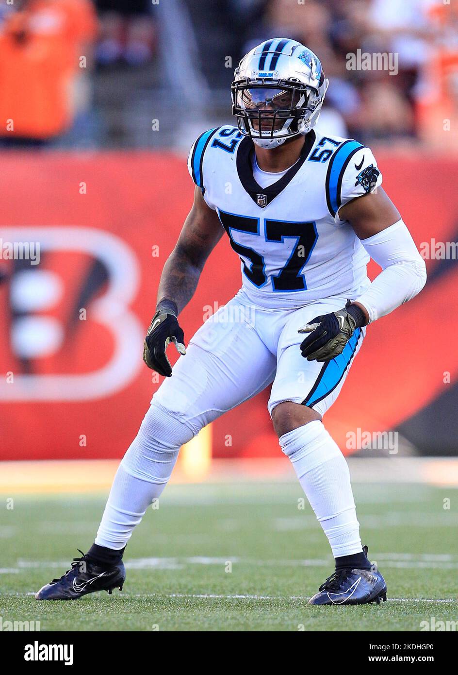 Cincinnati, Ohio, États-Unis. 6th novembre 2022. Damien Wilson (57) des Carolina Panthers pendant LA SEMAINE 9 de la saison régulière de la NFL entre les Carolina Panthers et les Cincinnati Bengals à Cincinnati, Ohio. JP Waldron/Cal Sport Media/Alamy Live News Banque D'Images