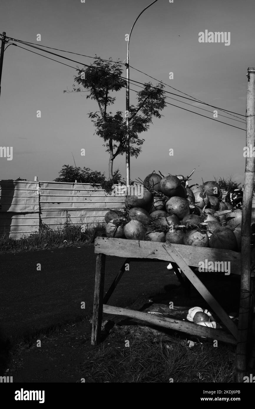 Photo noir et blanc, photo monochrome d'une pile de noix de coco vendue dans la région de Cikancung - Indonésie Banque D'Images