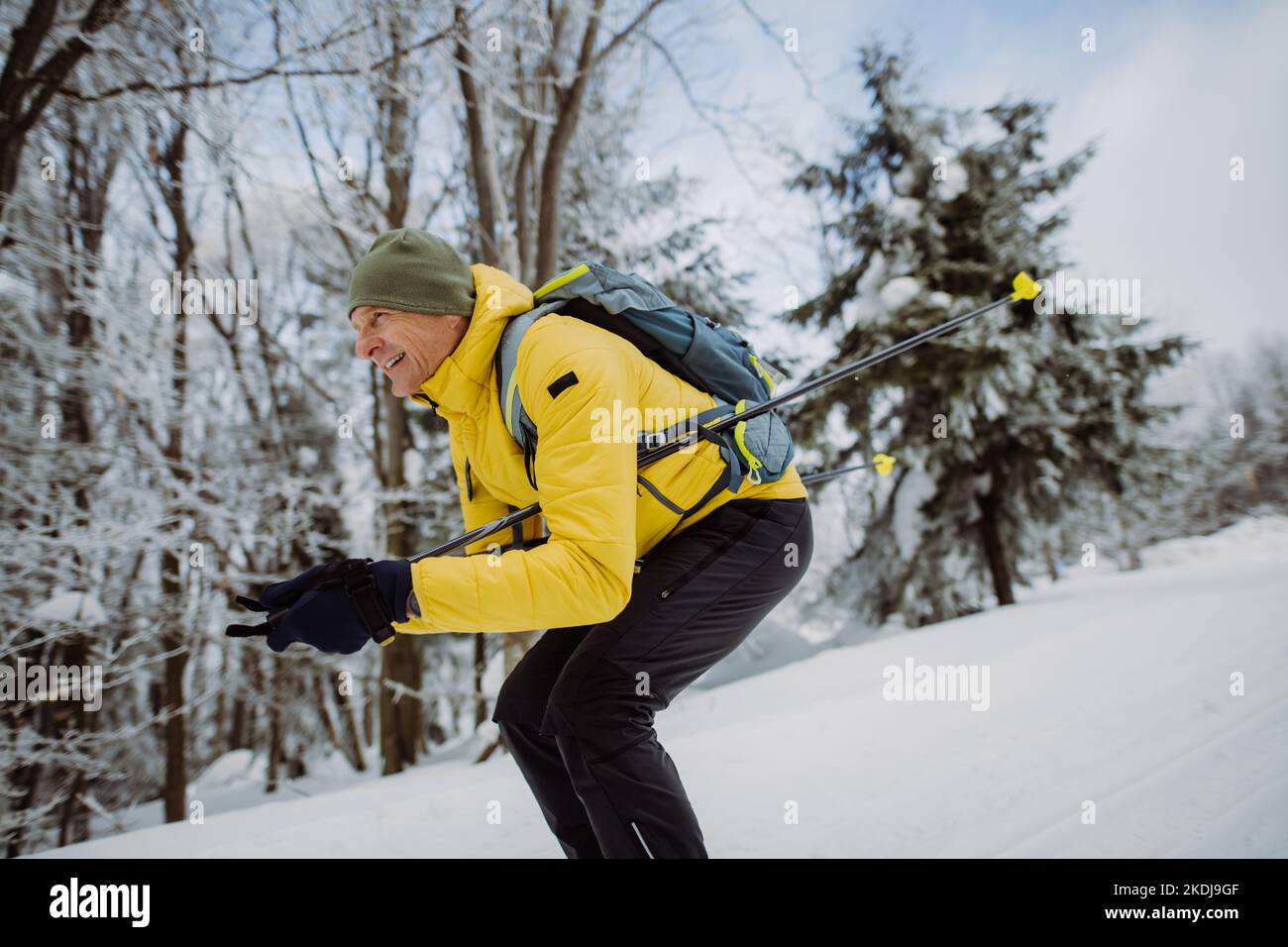 Homme senior qui fait du ski de fond en face de la forêt enneigée. Banque D'Images