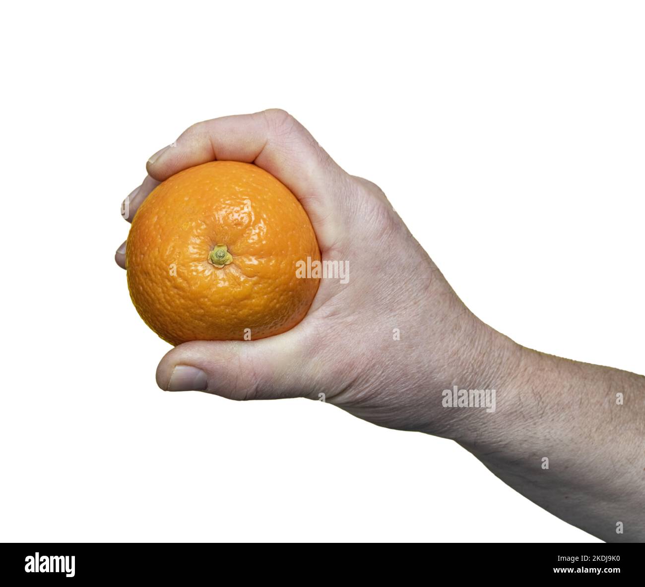 Une orange dans la main sur un fond transparent Banque D'Images