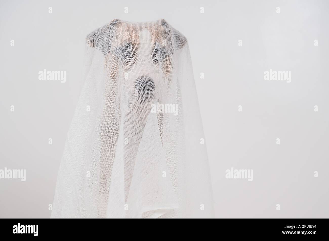 Chien Jack Russell Terrier dans un costume fantôme sur fond blanc. Banque D'Images