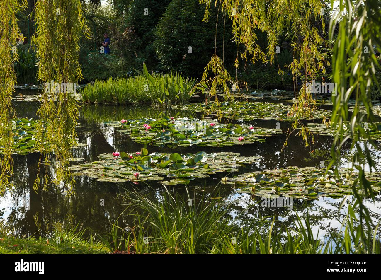 GIVERNY, FRANCE - 31 AOÛT 2019 : il s'agit du célèbre étang aux nénuphars dans le jardin aquatique du Musée du domaine Claude Monet. Banque D'Images