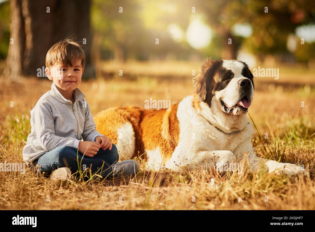 Moi et mon compagnon constant. Portrait d'un petit garçon mignon assis sur l'herbe à l'extérieur avec son chien. Banque D'Images