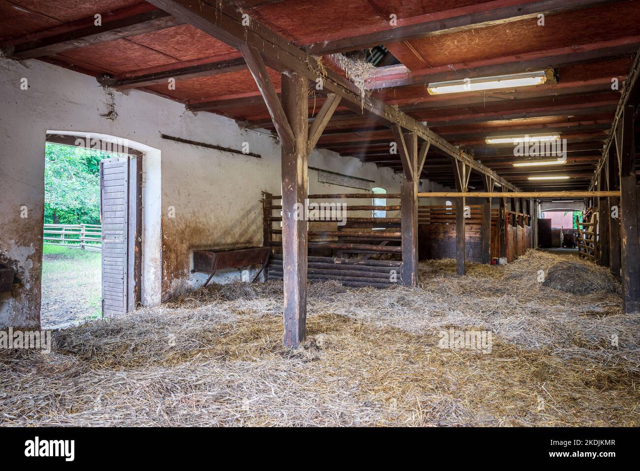 Intérieur de l'écurie dans l'élevage de chevaux à Florianka, Zwierzyniec, Roztocze, Pologne. Nettoyer le foin couché sur le sol. Buveur et étals pour chevaux dans Banque D'Images