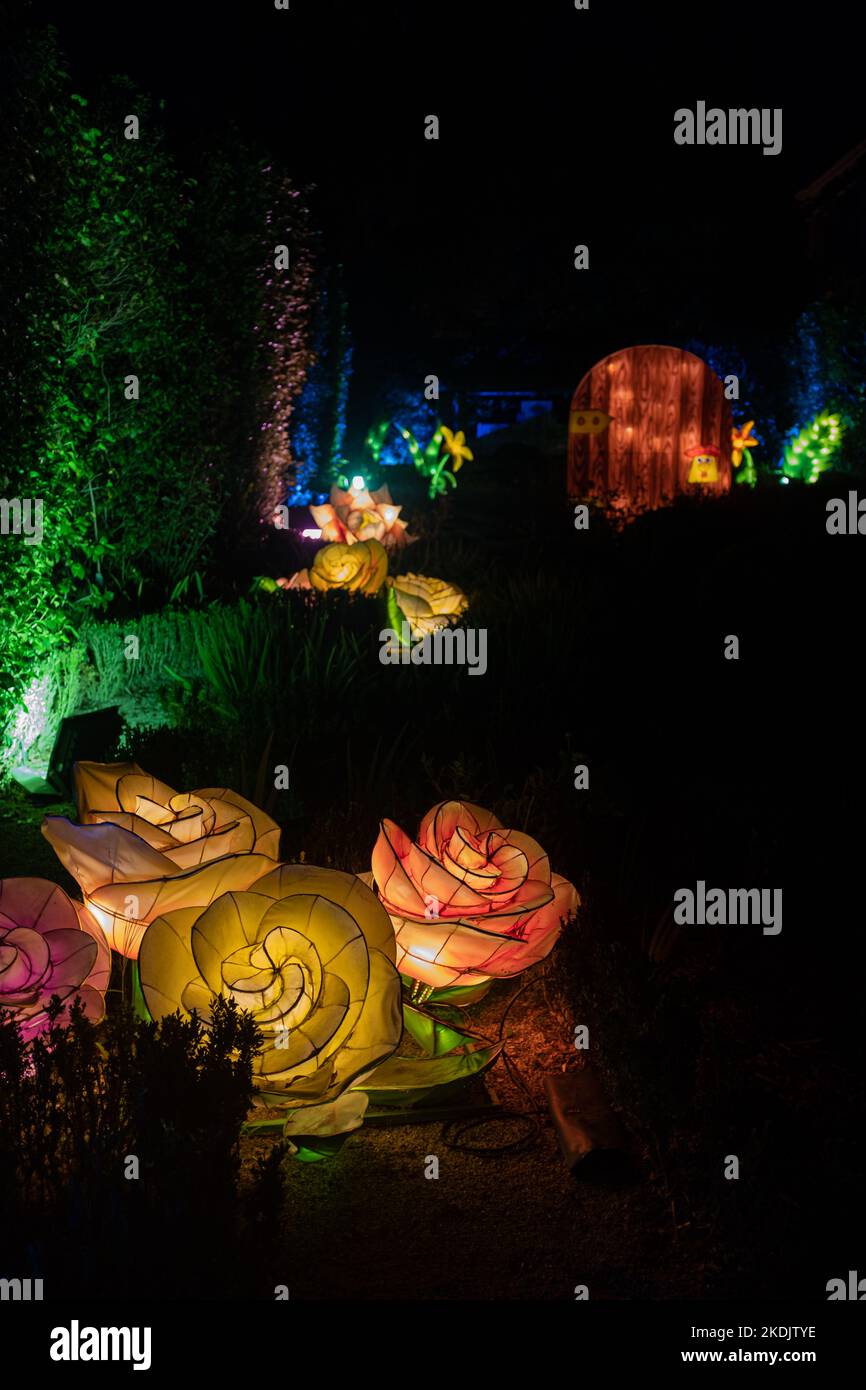 Fleurs artisanales artistiques illuminant la nuit avec des néons à l'intérieur d'un jardin de nuit Banque D'Images